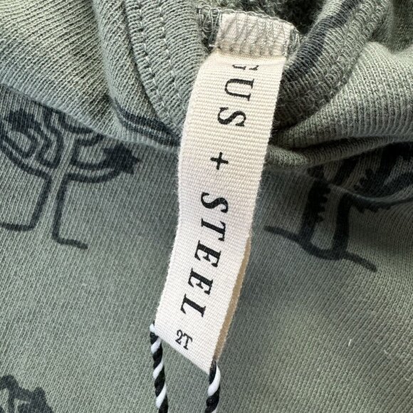 NWT Gus + Steel Fern National Parks Hoodie 2T - Picture 2 of 5